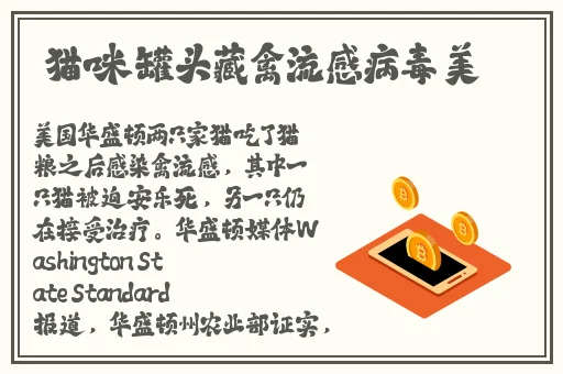 一分快三精准计划导师